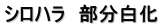 シロハラ　部分白化