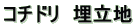 コチドリ　埋立地