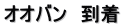 オオバン　到着