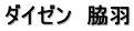 ダイゼン　脇羽