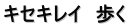 キセキレイ　歩く