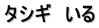 タシギ　いる