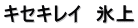 キセキレイ　氷上