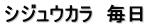 シジュウカラ　毎日