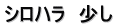 シロハラ　少し