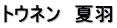 トウネン　夏羽