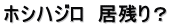 ホシハジロ　居残り？