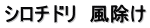 シロチドリ　風除け
