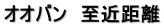 オオバン　至近距離