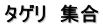 タゲリ　集合