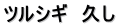 ツルシギ　久し