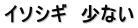 イソシギ　少ない
