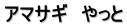 アマサギ　やっと