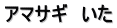 アマサギ　いた
