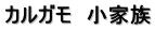 カルガモ　小家族