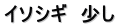 イソシギ　少し