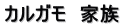 カルガモ　家族