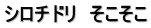 シロチドリ　そこそこ