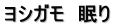 ヨシガモ　眠り