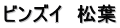 ビンズイ　松葉