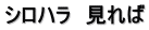 シロハラ　見れば