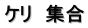 ケリ　集合