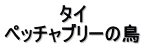 タイ ペッチャブリーの鳥