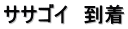 ササゴイ　到着