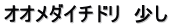 オオメダイチドリ　少し