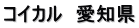コイカル　愛知県