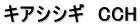 キアシシギ　CCH
