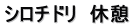 シロチドリ　休憩